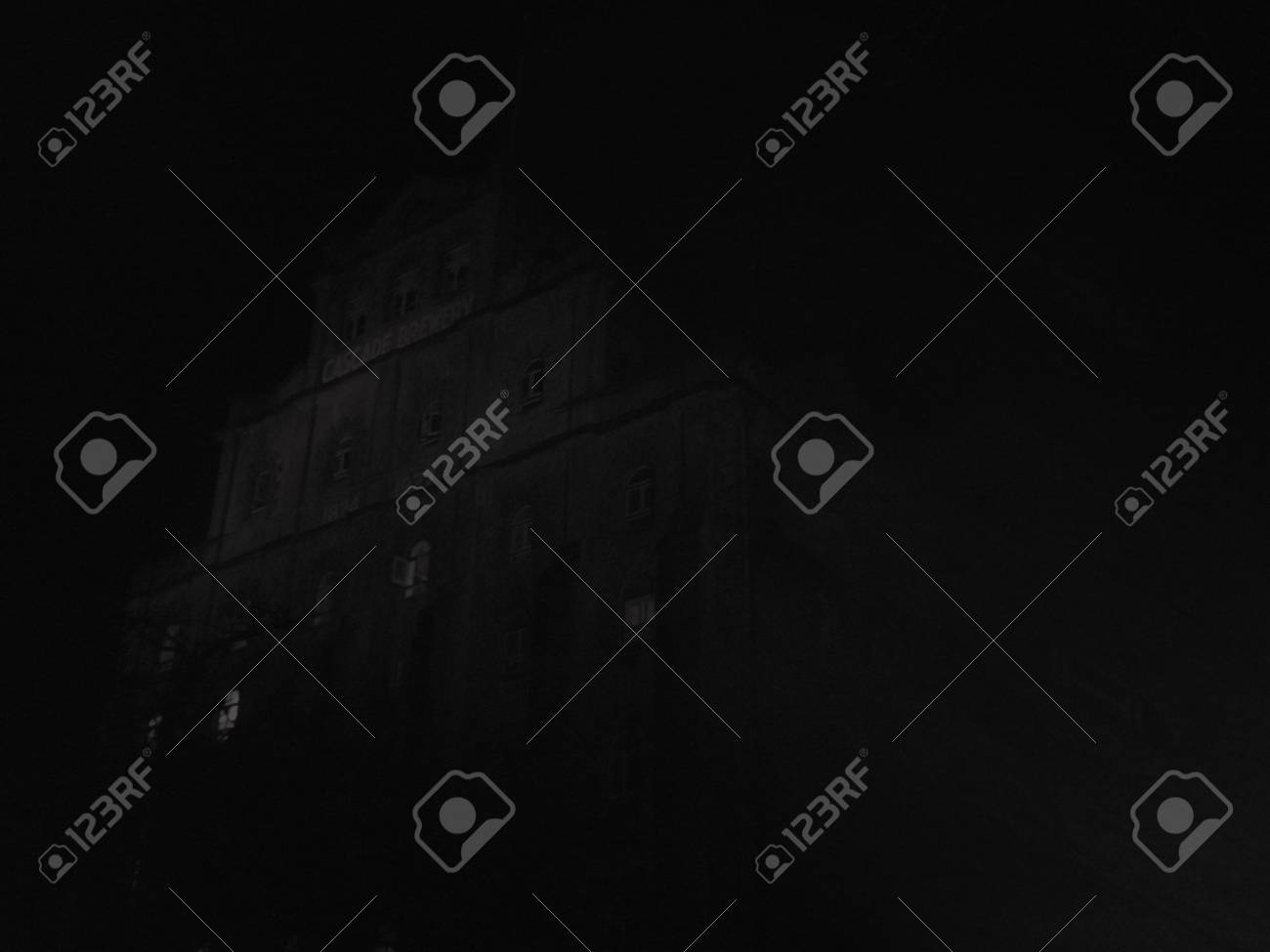 etiam-dictum-ipsum-a-felis