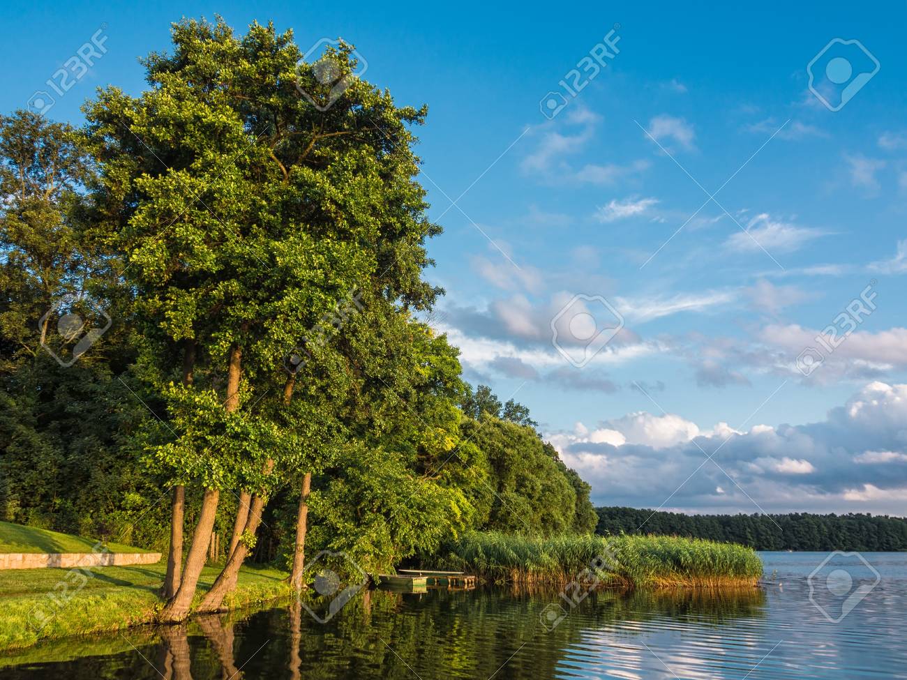 etiam-dictum-ipsum-a-felis