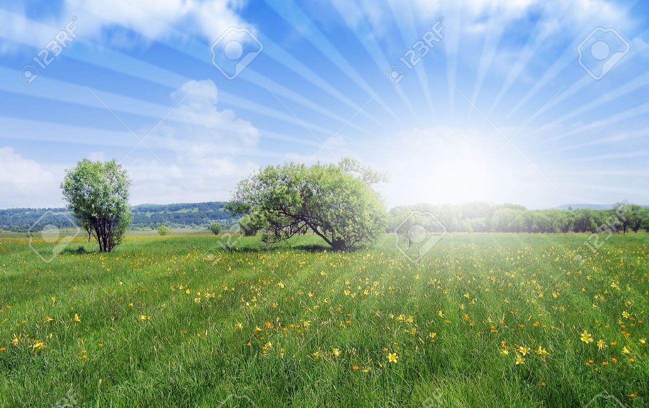 Beutiful beutiful nature stock photo, picture and royalty free image. image Beutiful beutiful nature stock photo, picture and royalty free image. image