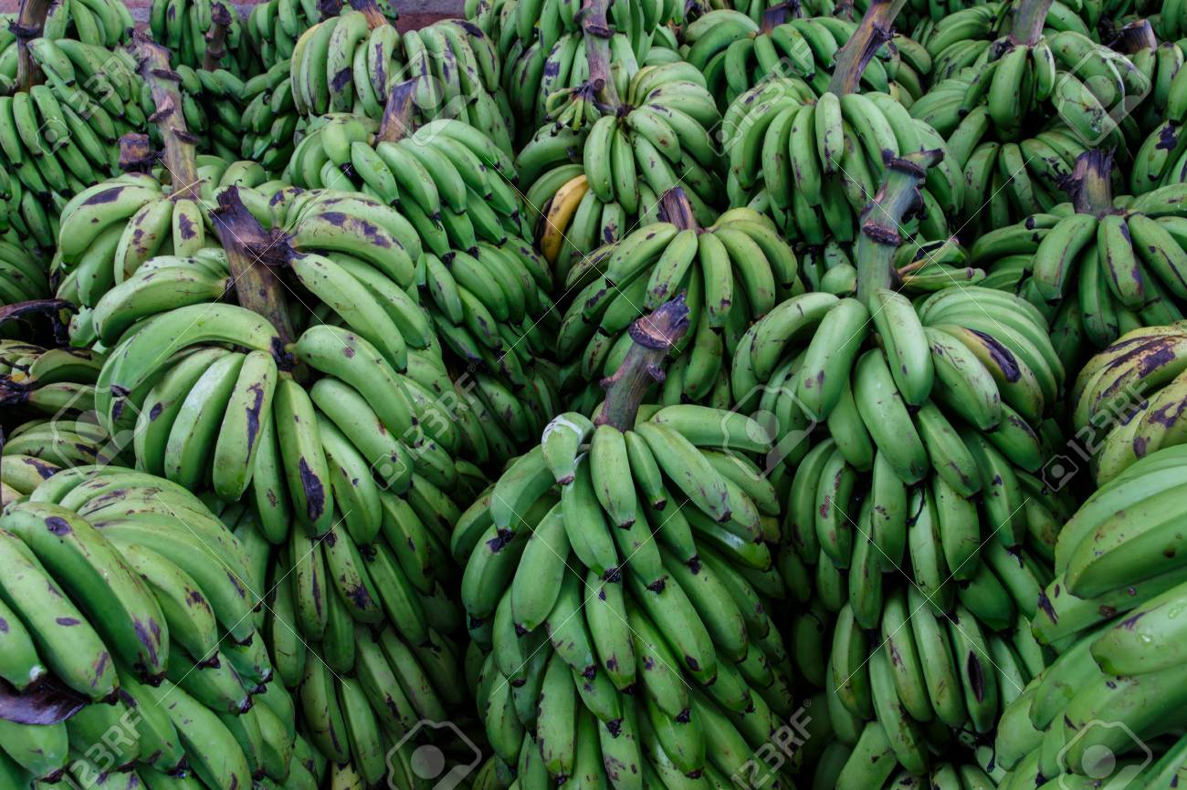 屋外の緑のバナナ グループ の写真素材 画像素材 Image