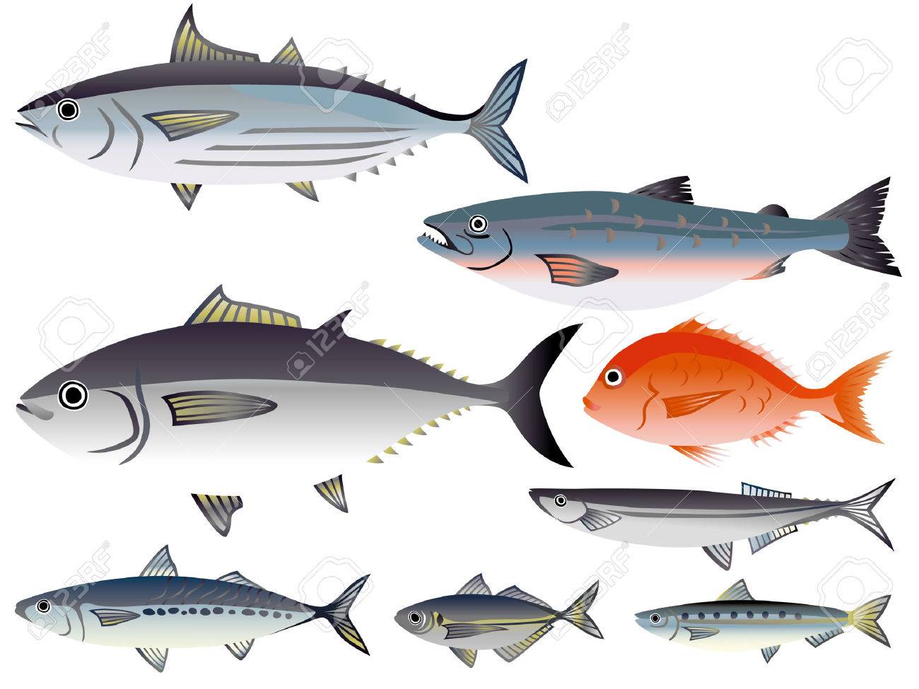 市場で魚のイラストのイラスト素材 ベクタ Image