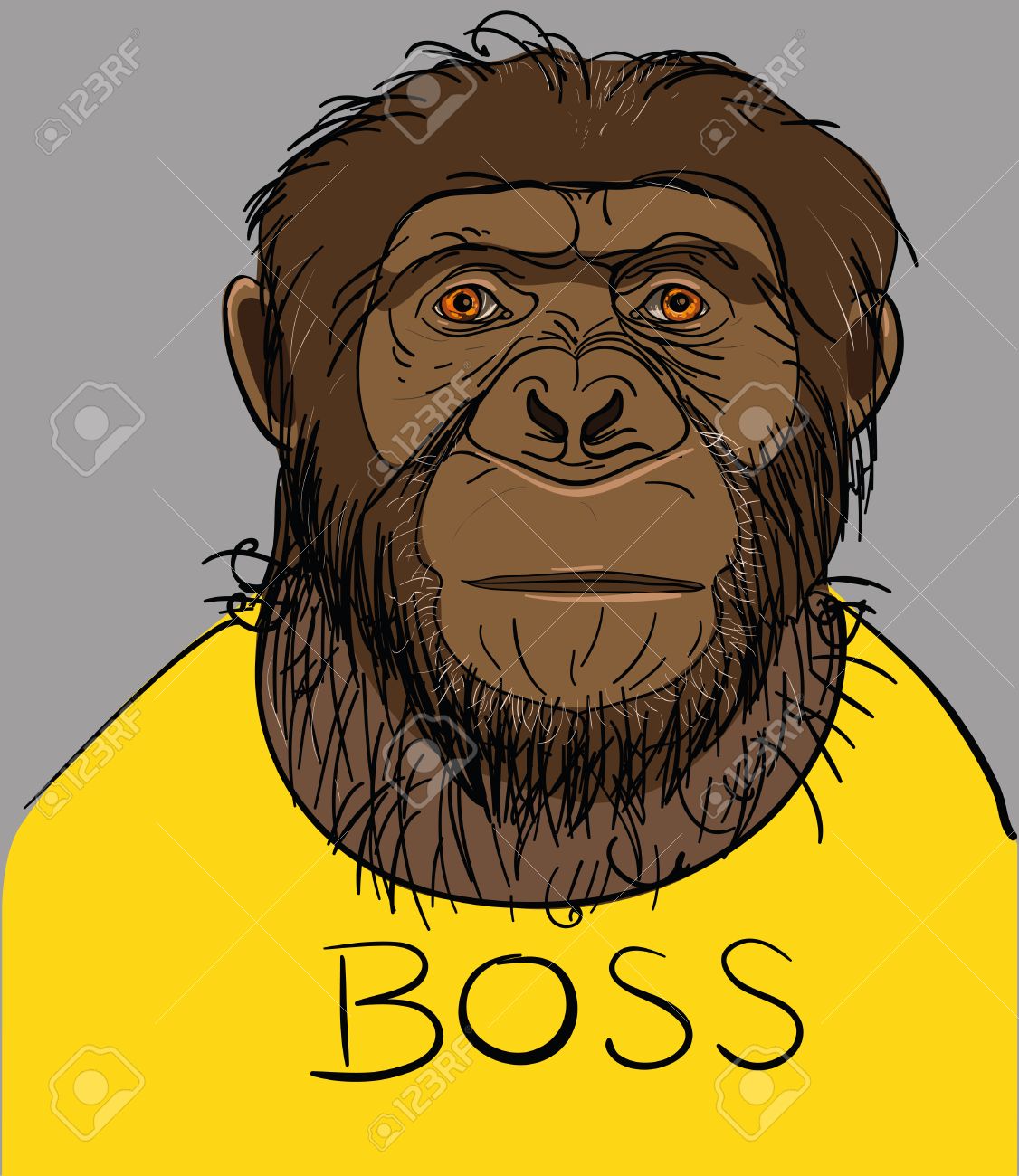 Monkey with yellow shirt Clearance