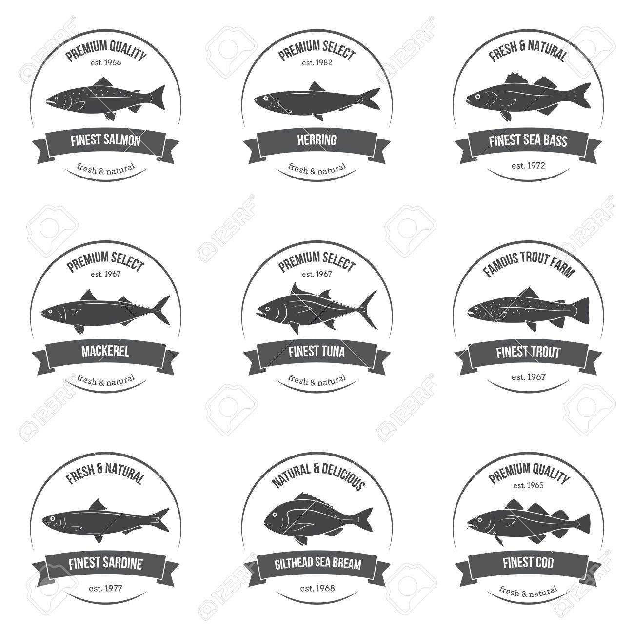 魚のシルエット ラベル エンブレム サーモン ニシン シーバス サバ マグロ マス イワシ 鯛 タラ 市場 店舗用のテンプレート セット食品包装 魚介類のイラスト のイラスト素材 ベクタ Image