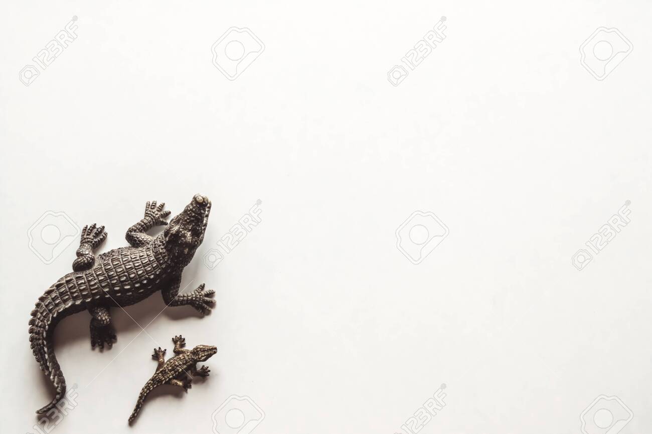 baby crocodile toy