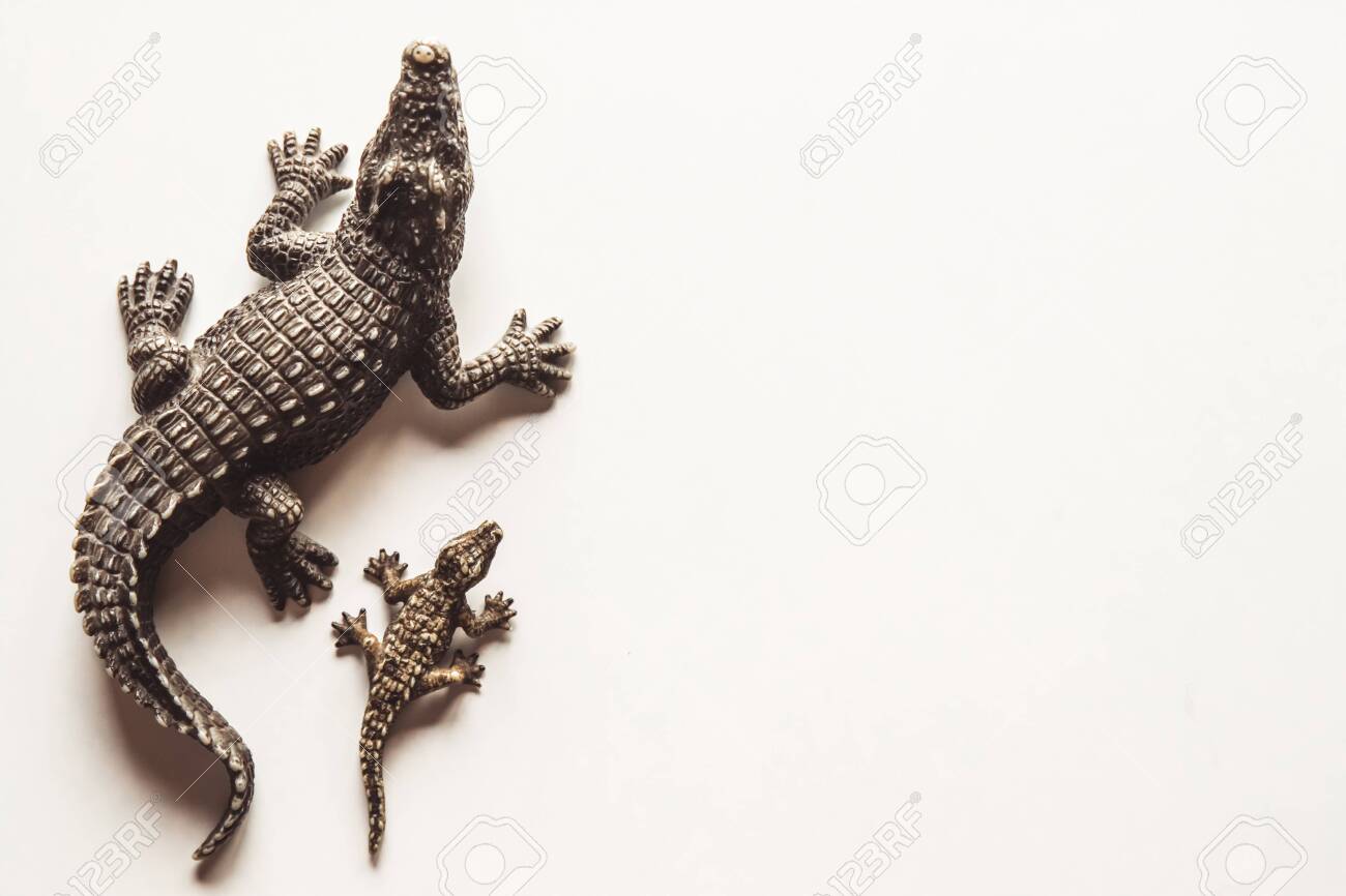 baby crocodile toy