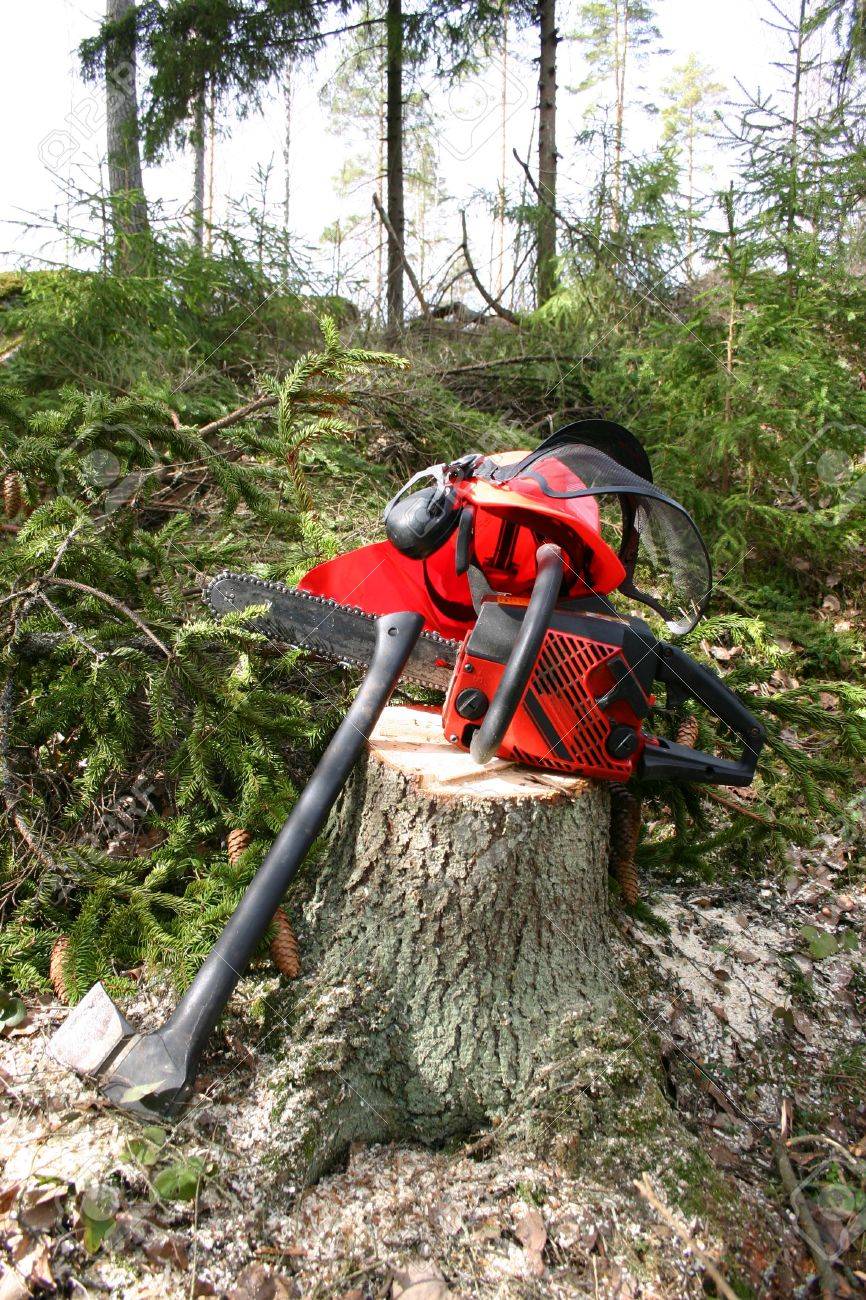 logger equipment in forest logger equipment
