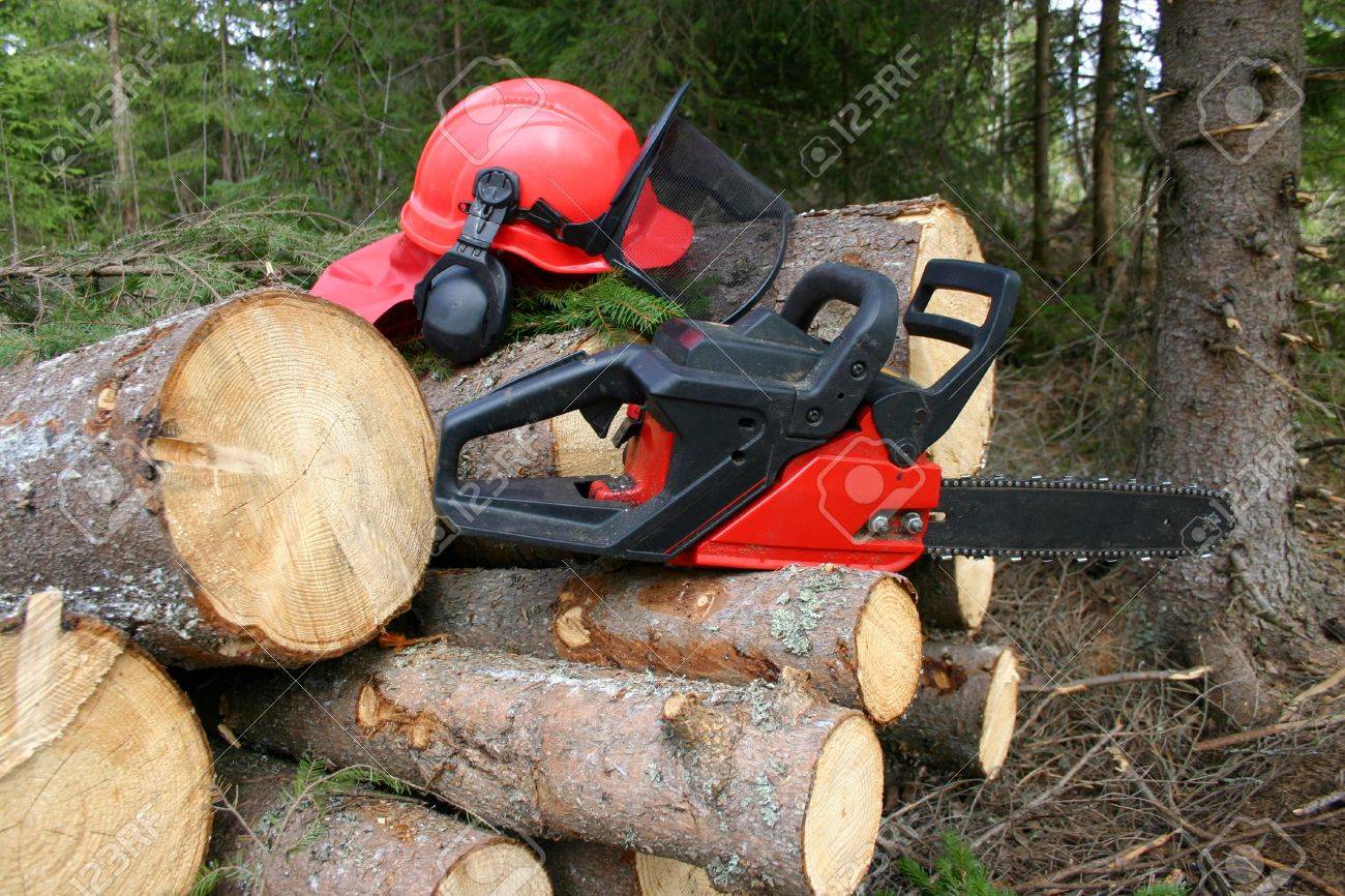 logger equipment with cut trees logger equipment