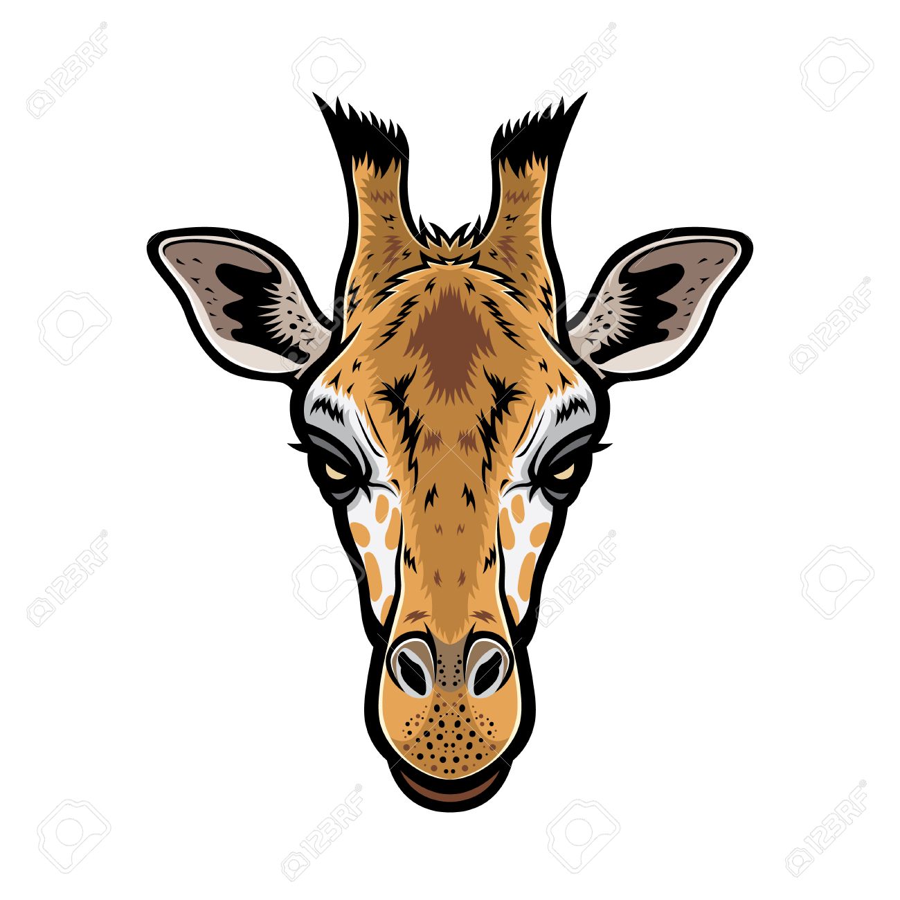 Vecteur De La Tete Girafe Illustration Graphique Avec Des Couleurs Clip Art Libres De Droits Vecteurs Et Illustration Image Vecteur De La Tete Girafe Illustration Graphique Avec Des Couleurs Clip Art Libres De Droits Vecteurs Et Illustration Image