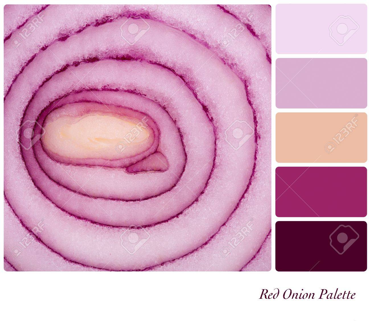 Sliced Red Onion In A Colour Palette ...