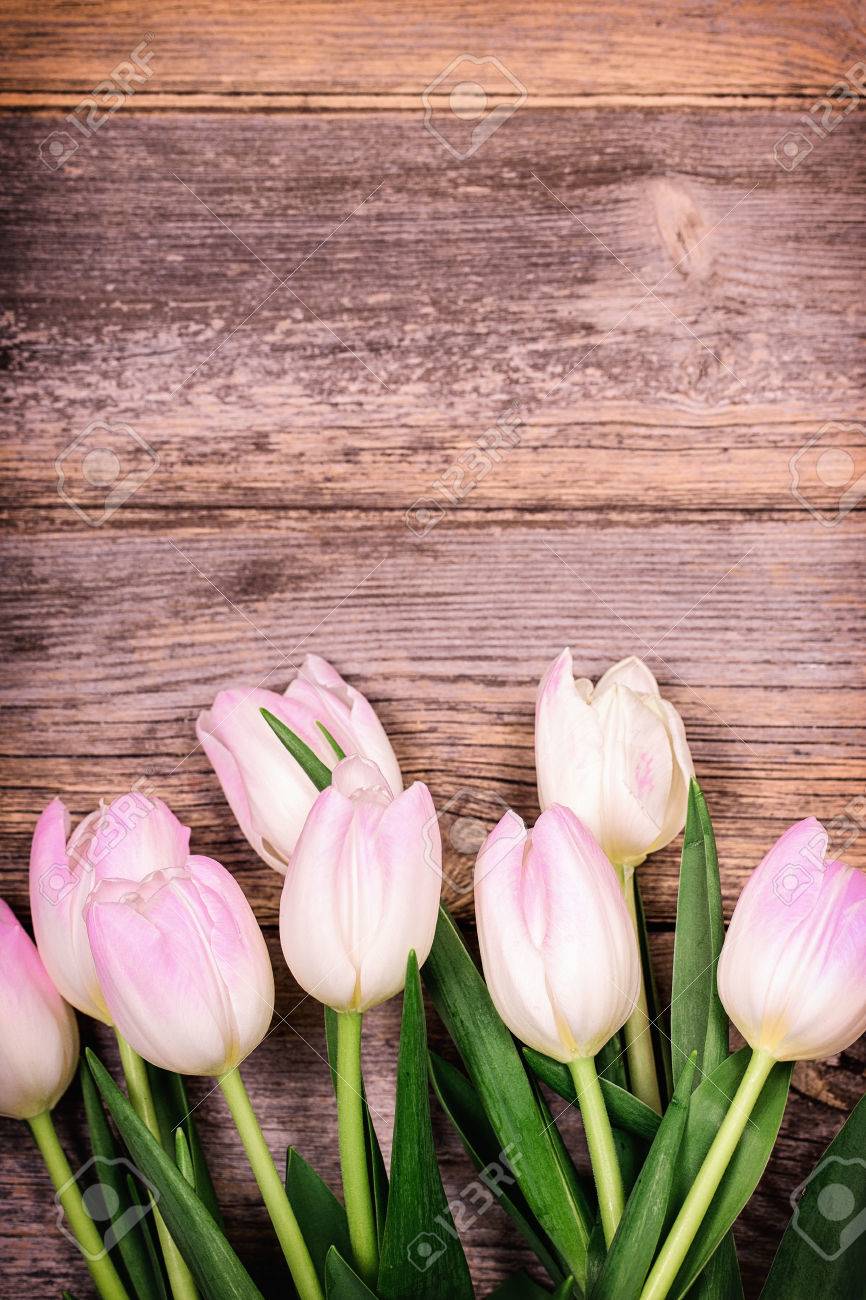 freshly cut tulip flowers over old wood background with space