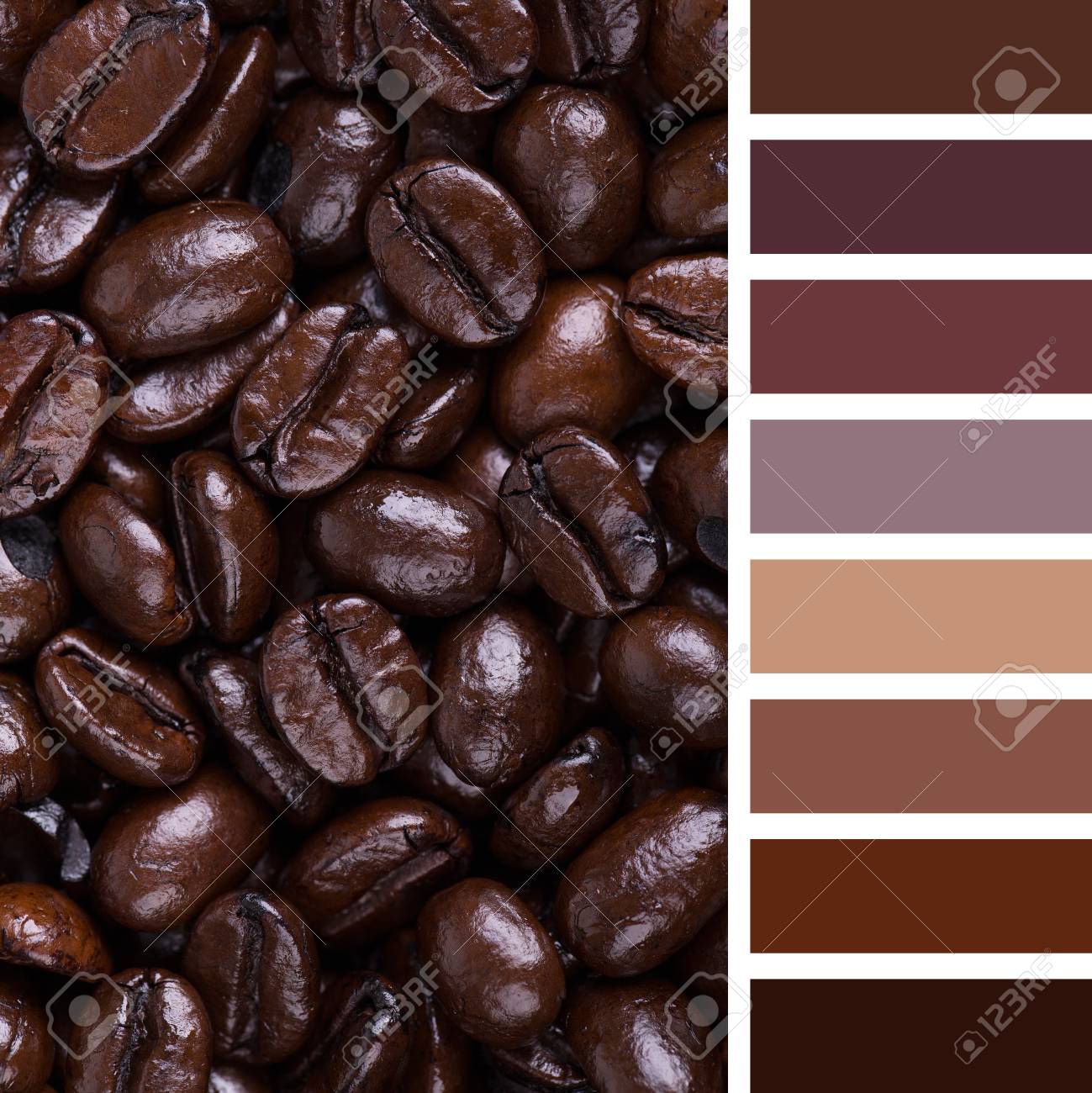 イタリアン ロースト コーヒー豆の背景 無料の色見本を色パレット の写真素材 画像素材 Image