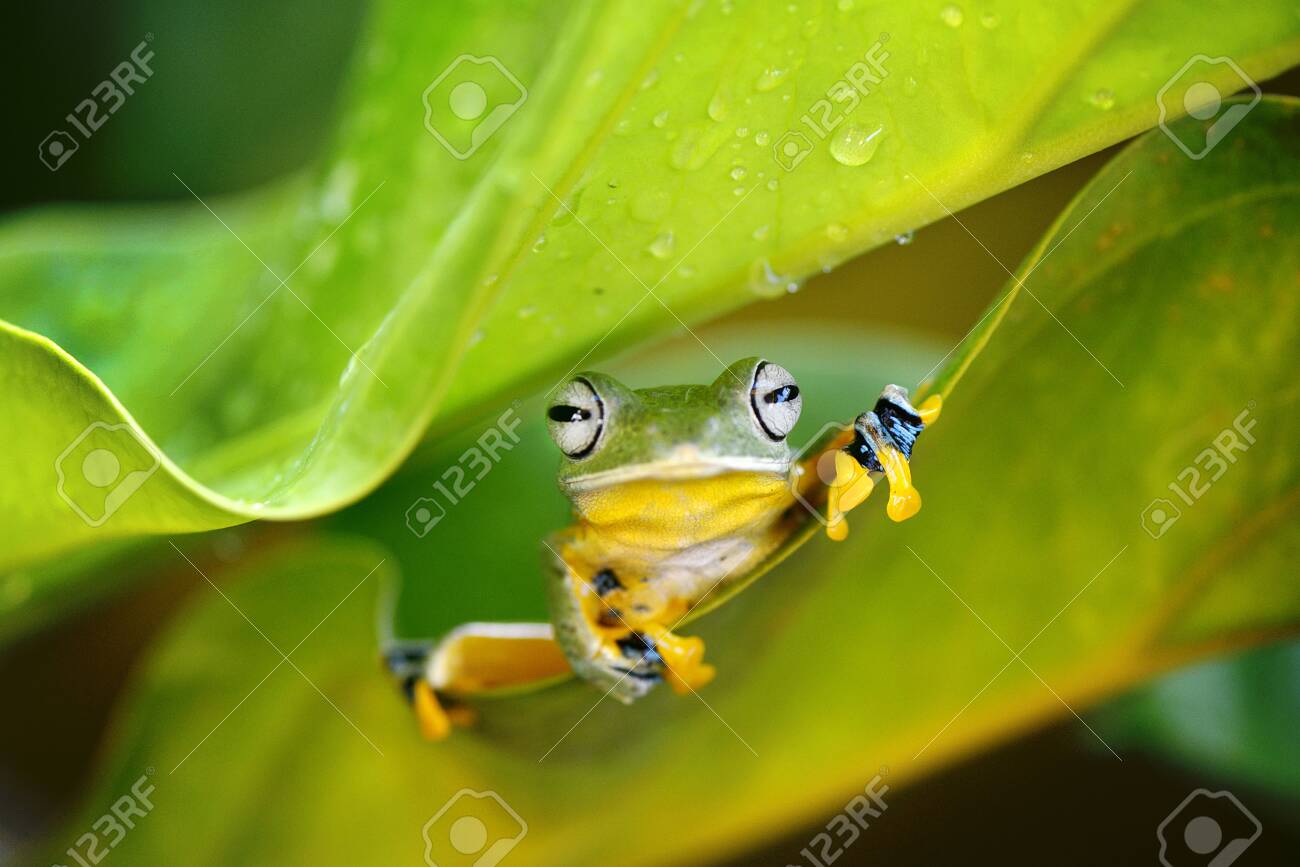 etiam-dictum-ipsum-a-felis