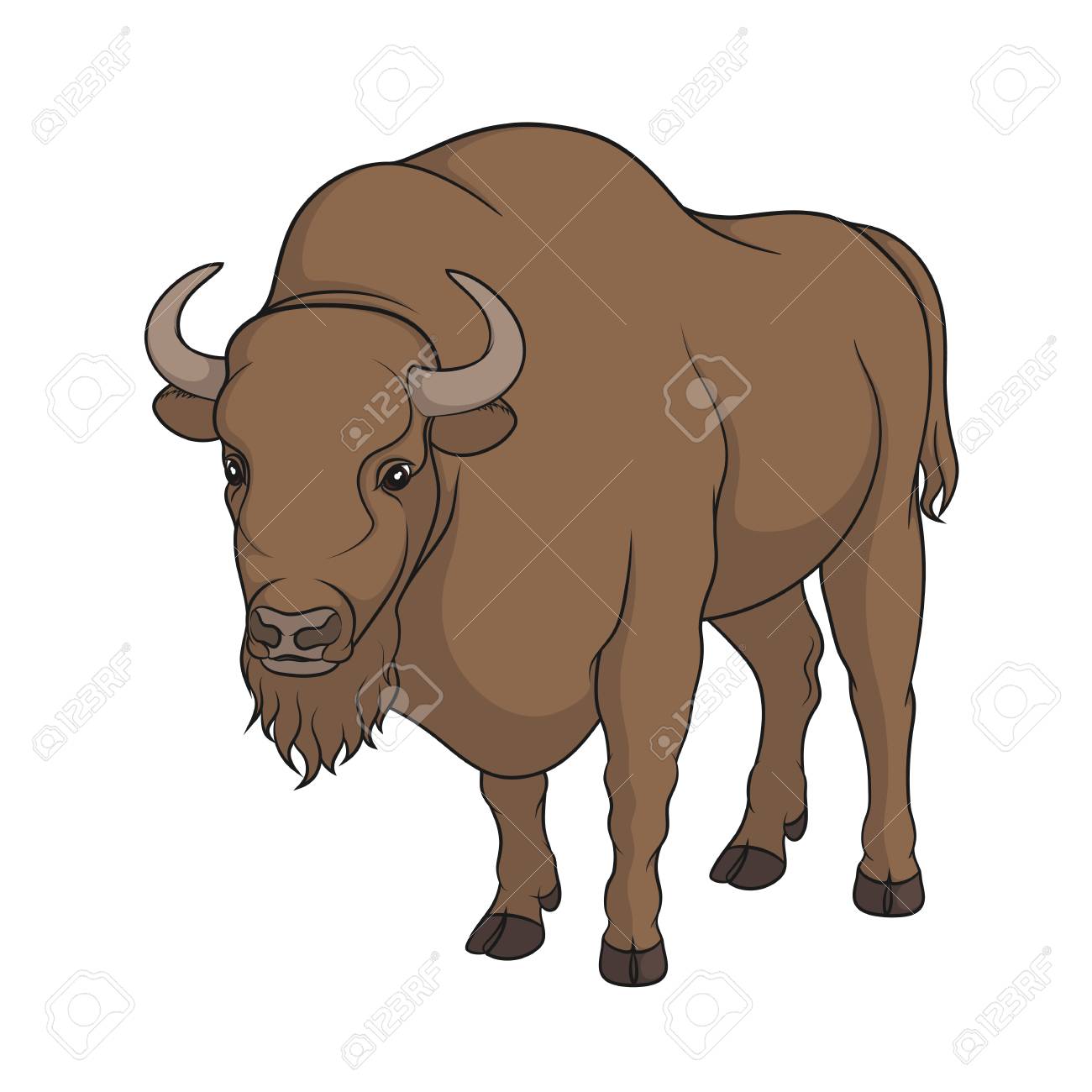 Color Image Of Bison Isolated Object On White Background Royalty Free Cliparts Vectors And Stock Illustration Image