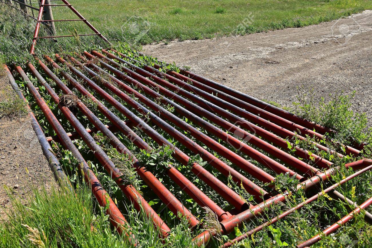 A Metal Grated Cattle Guard Crossing In The Western Prairies Stock Photo Picture And Royalty Free Image Image 82099010