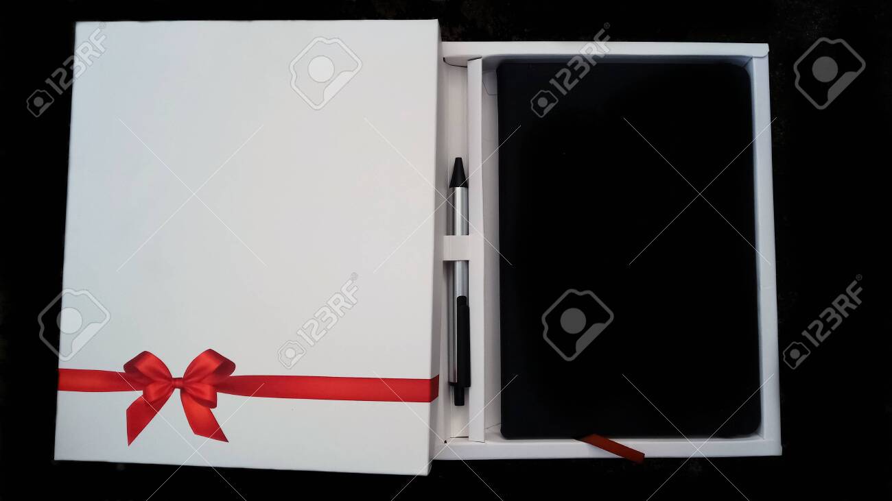 diary pen gift