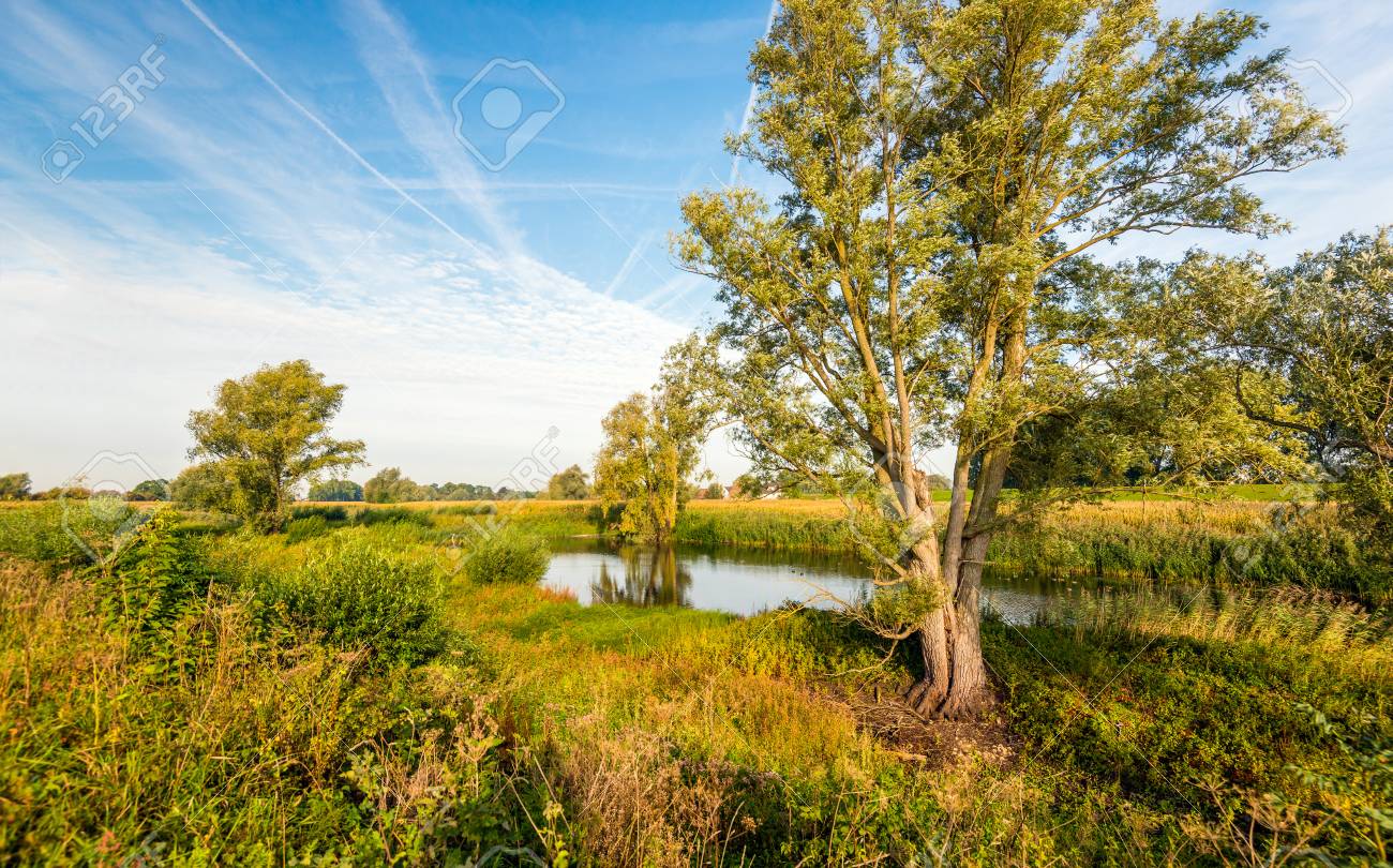 広い川の銀行で原野のオランダの風景のブライトの色します 秋は始まったばかり 葉の色がすでに変化しています の写真素材 画像素材 Image