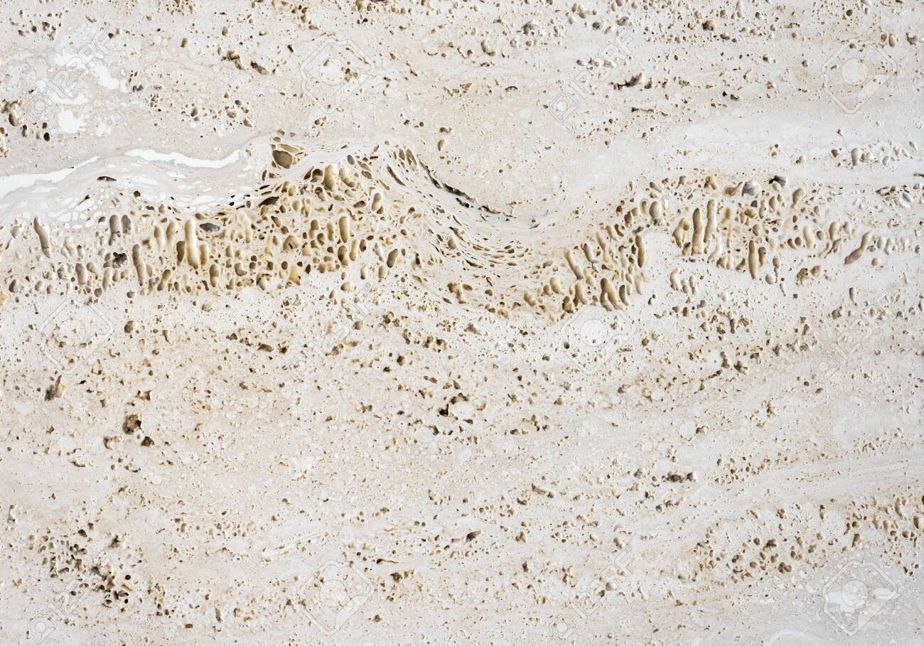 Coquina Stone Texture Or Background Stock Photo Picture And