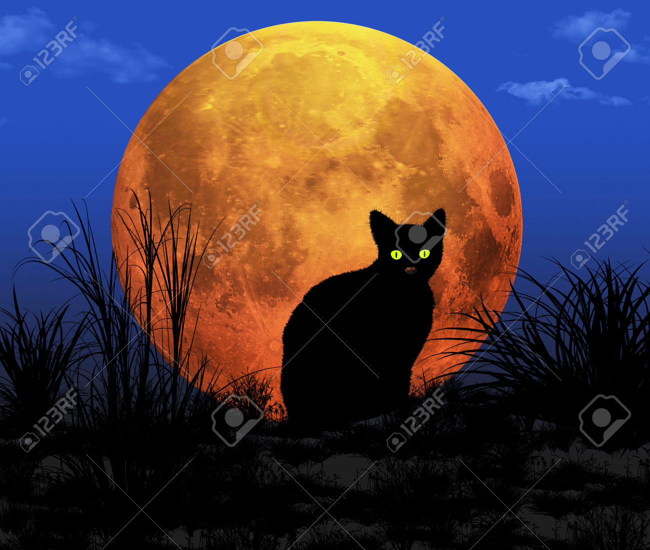 アクリル画 猫のハロウィンナイト満月の夜 F4