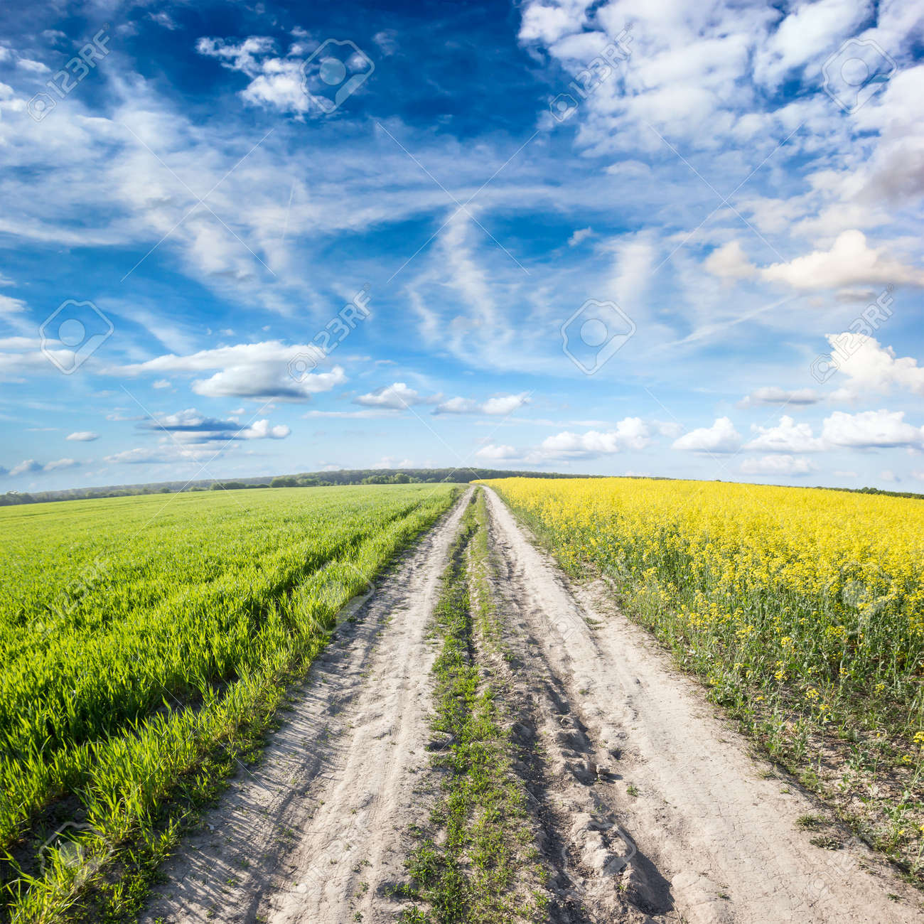 Get Schoenheit der natur For Free Schoenheit Der Natur