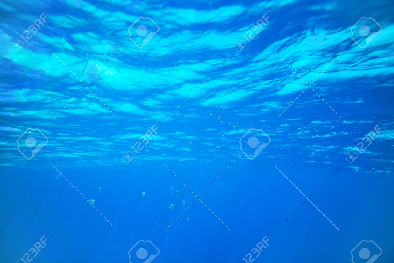 海の水中景色 美しさ 自然の背景 の写真素材 画像素材 Image 海の水中景色 美しさ 自然の背景 の写真素材 画像素材 Image