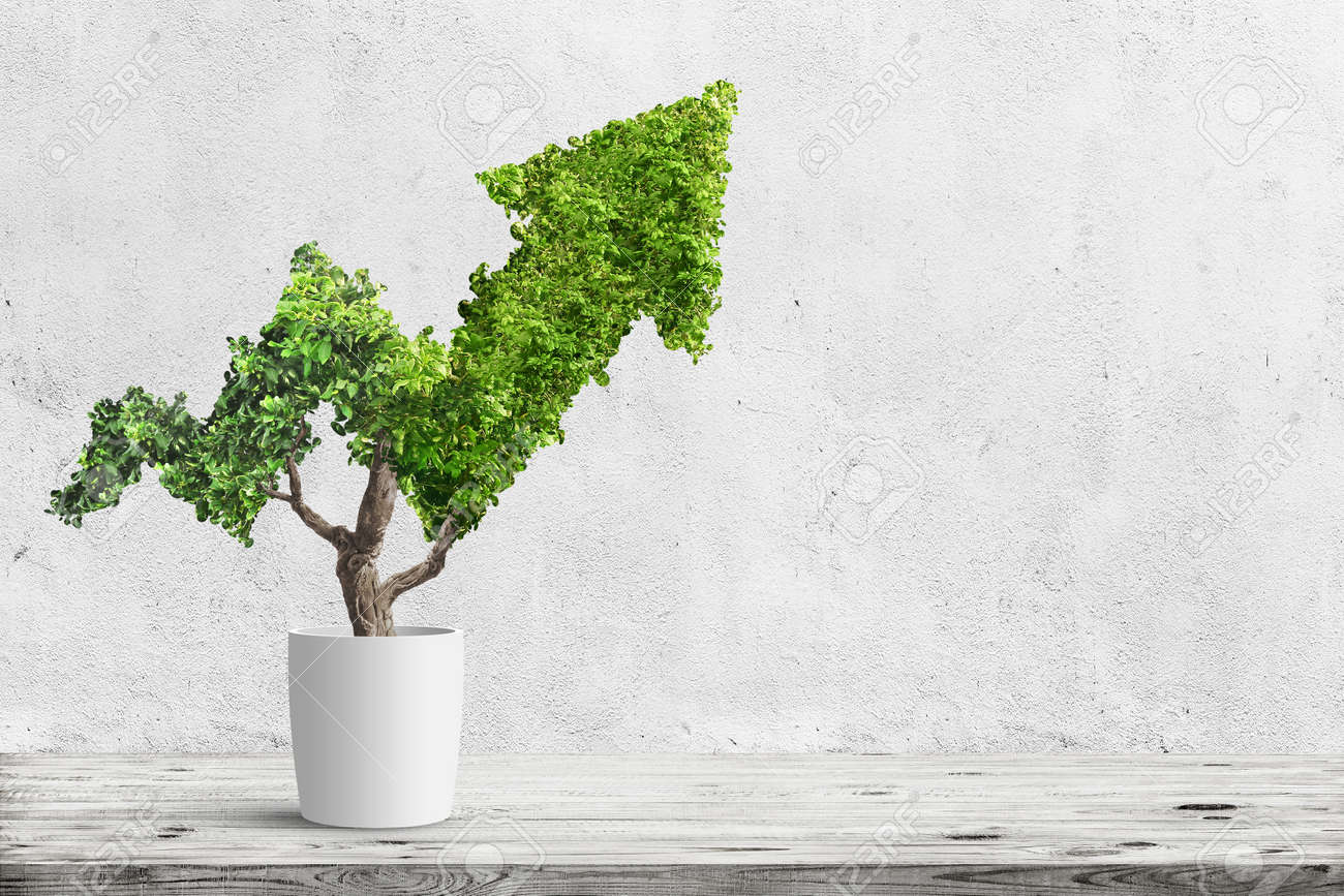 Potted green plant grows up in arrow shape over blue background. Concept business image - 96626388 Potted green plant grows up in arrow shape over blue background. Concept business image - 96626388