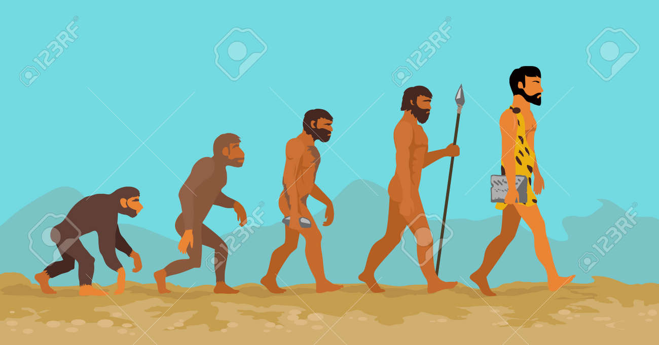 concept of human evolution from ape to man man evolution evolution of man