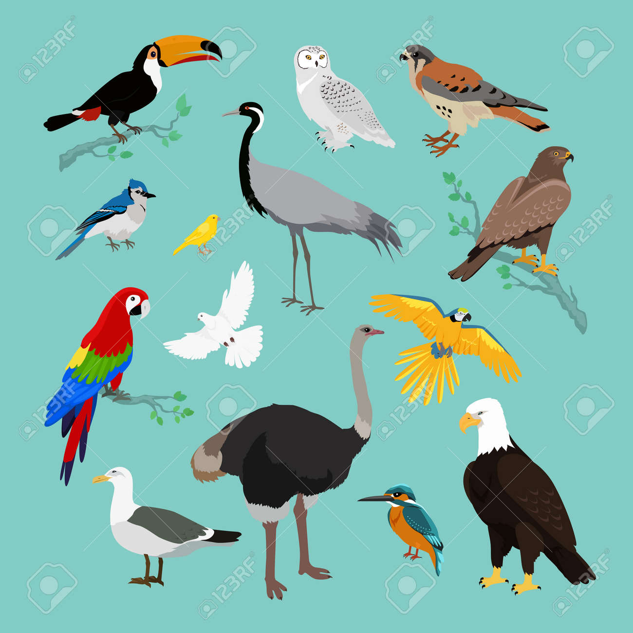 さまざまな鳥のフラット デザインのコレクションです 鳥が飛んでいる フクロウと動物 鳥ベクトル イーグル野生 野生動物キャラクター 動物と飛行 オオハシと動物イラストのイラスト素材 ベクタ Image さまざまな鳥のフラット デザインのコレクションです 鳥が飛んでいる フクロウと動物 鳥ベクトル イーグル野生 野生動物キャラクター 動物と飛行 オオハシと動物イラストのイラスト素材 ベクタ Image