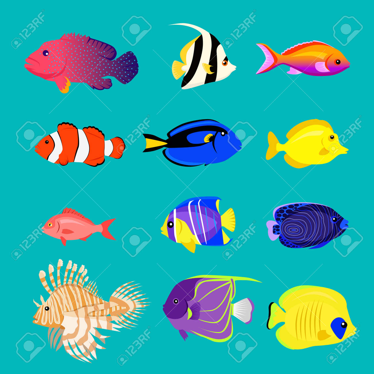 Fish pictures color to Fish pictures color to