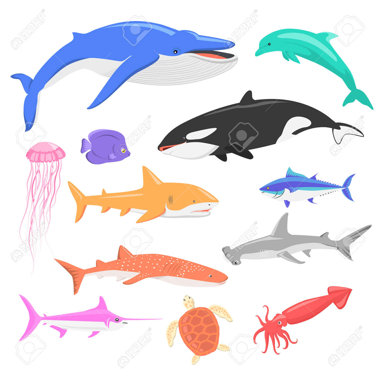 Marine Fauna Set Of Aquatic Animals. Aquatic Fauna, Ocean Or Sea Fish  Wildlife Fauna, Underwater Aquarium Exotic Life Fauna, Dolphin Water Wild  Vector Illustration Isolated On White Royalty Free SVG, Cliparts, Vetores,, image size:1300x1300