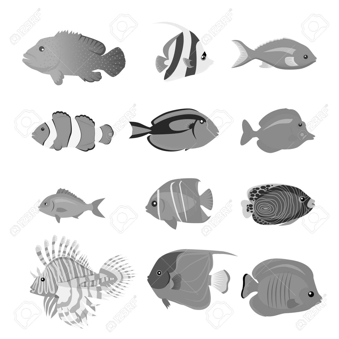 Ensemble De Poissons De Mer Couleur Design Plat Ocean Animal Poissons Nature Dessin Anime Faune Aquarium Sous Marin La Vie Des Poissons De Mer Exotique Dessin Faune Marine Poissons De Mer Illustration Vectorielle Ensemble De Poissons De Mer Couleur Design Plat Ocean Animal Poissons Nature Dessin Anime Faune Aquarium Sous Marin La Vie Des Poissons De Mer Exotique Dessin Faune Marine Poissons De Mer Illustration Vectorielle