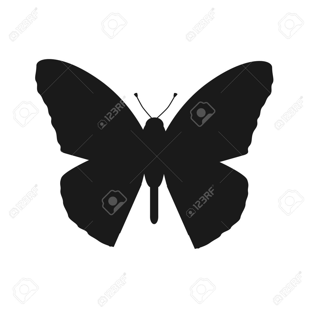 Insects Butterflies Isolated On White Background Beautiful