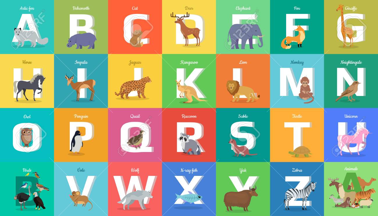 Animals Alphabet. Letter From A To Z. Various Animals Stands Or ...