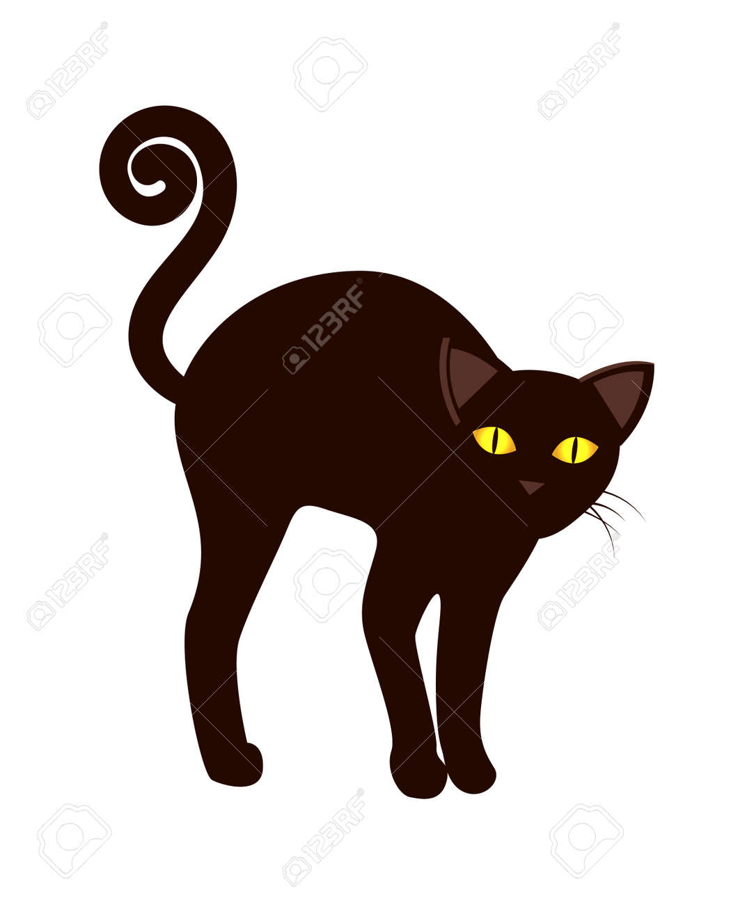 Black Cat Tail Long