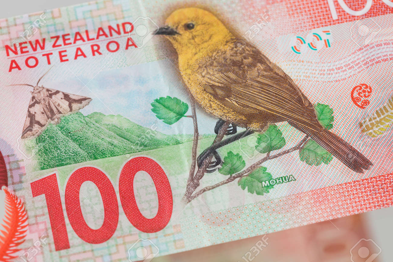 鳥とニュージーランド党からの100ドル札。その反対側はガラスに