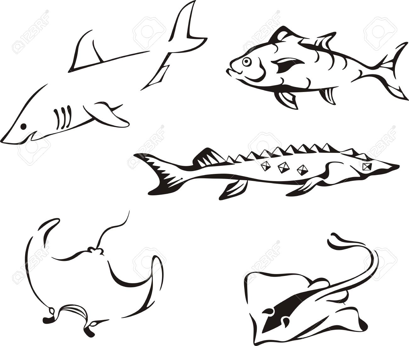 黒と白の熱帯魚 黒と白のベクトル イラストのセットです のイラスト素材 ベクタ Image 26027176