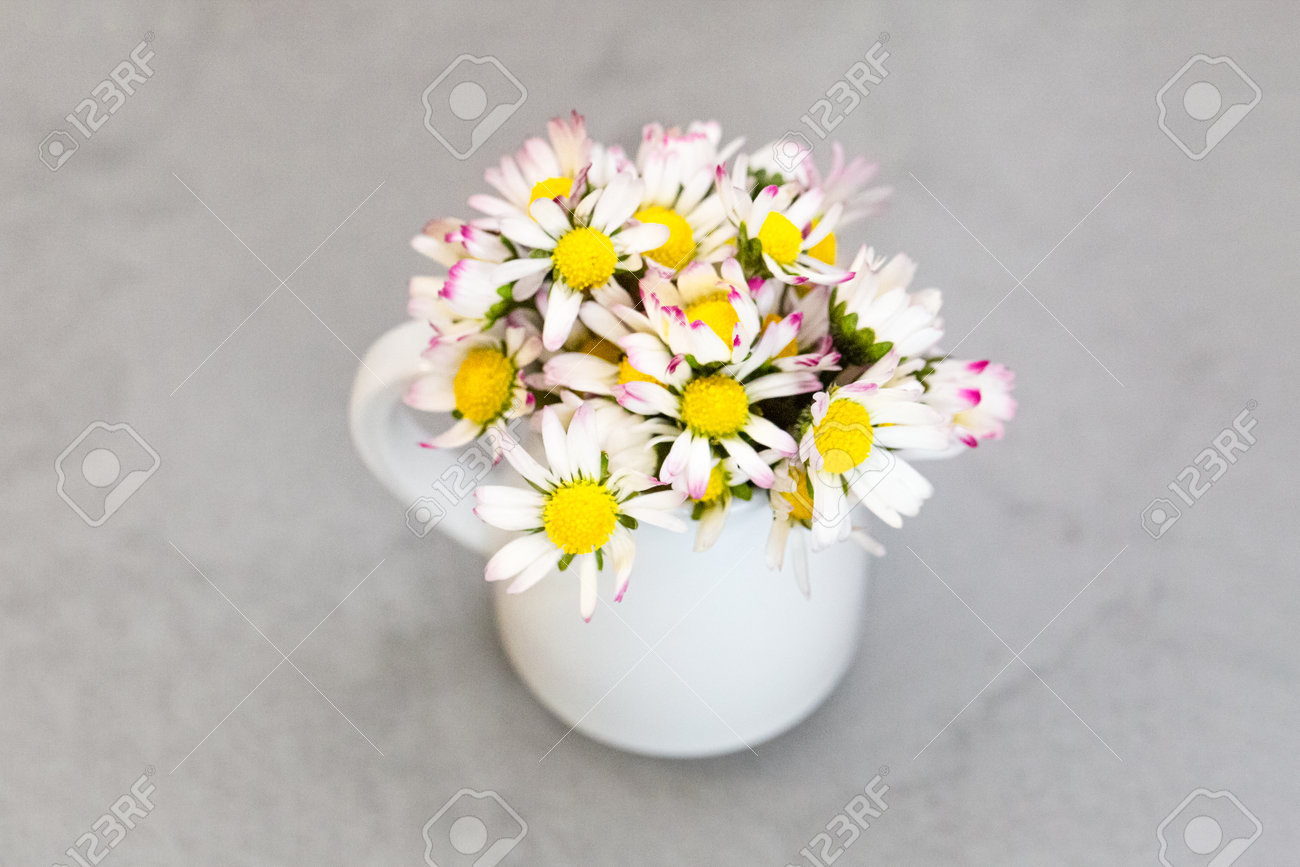 Daisy flowers in ceramic white vase on ultimate gray - 165777208 Daisy flowers in ceramic white vase on ultimate gray - 165777208