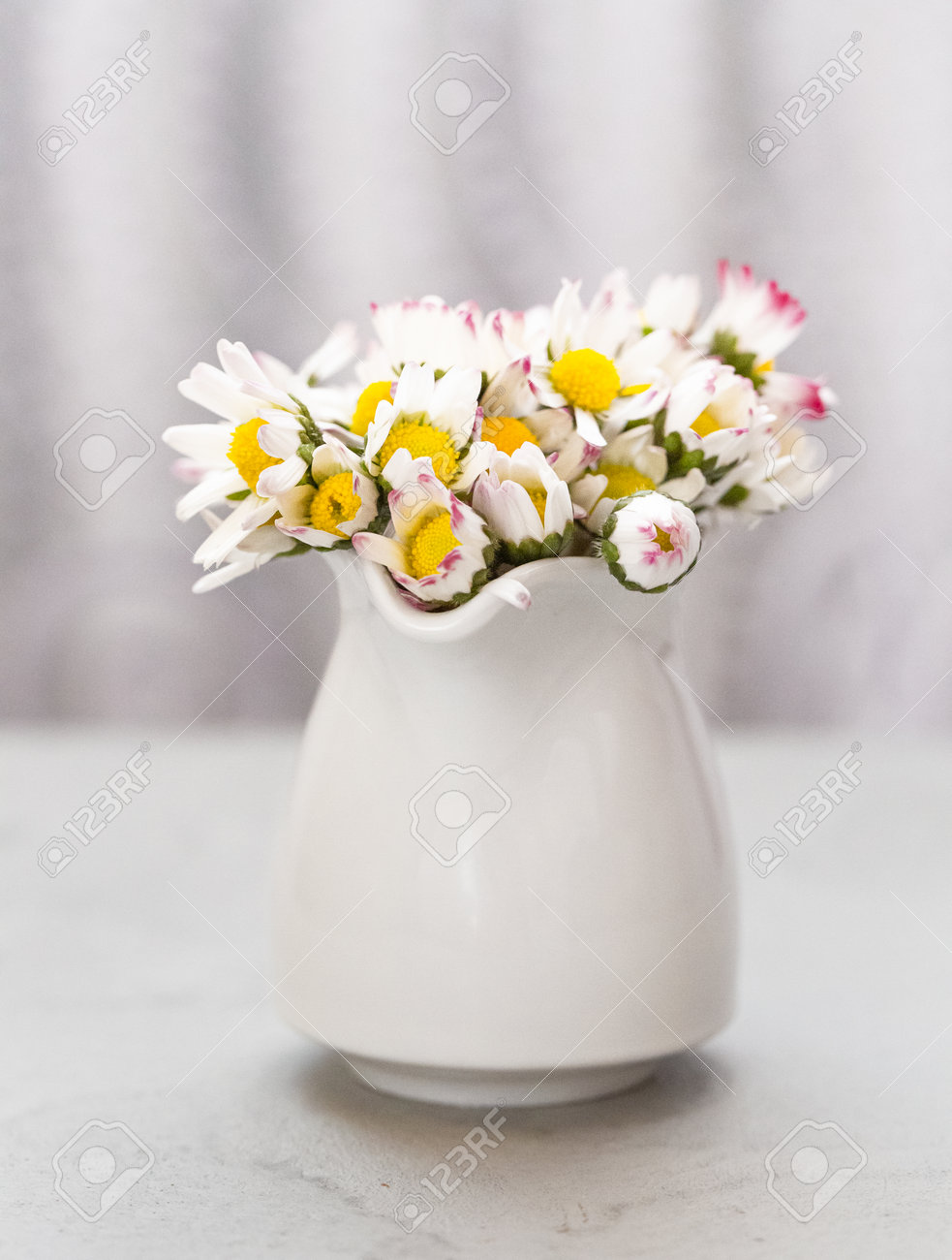 Beautiful daisy flowers in ceramic white vase on ultimate gray - 165777444 Beautiful daisy flowers in ceramic white vase on ultimate gray - 165777444