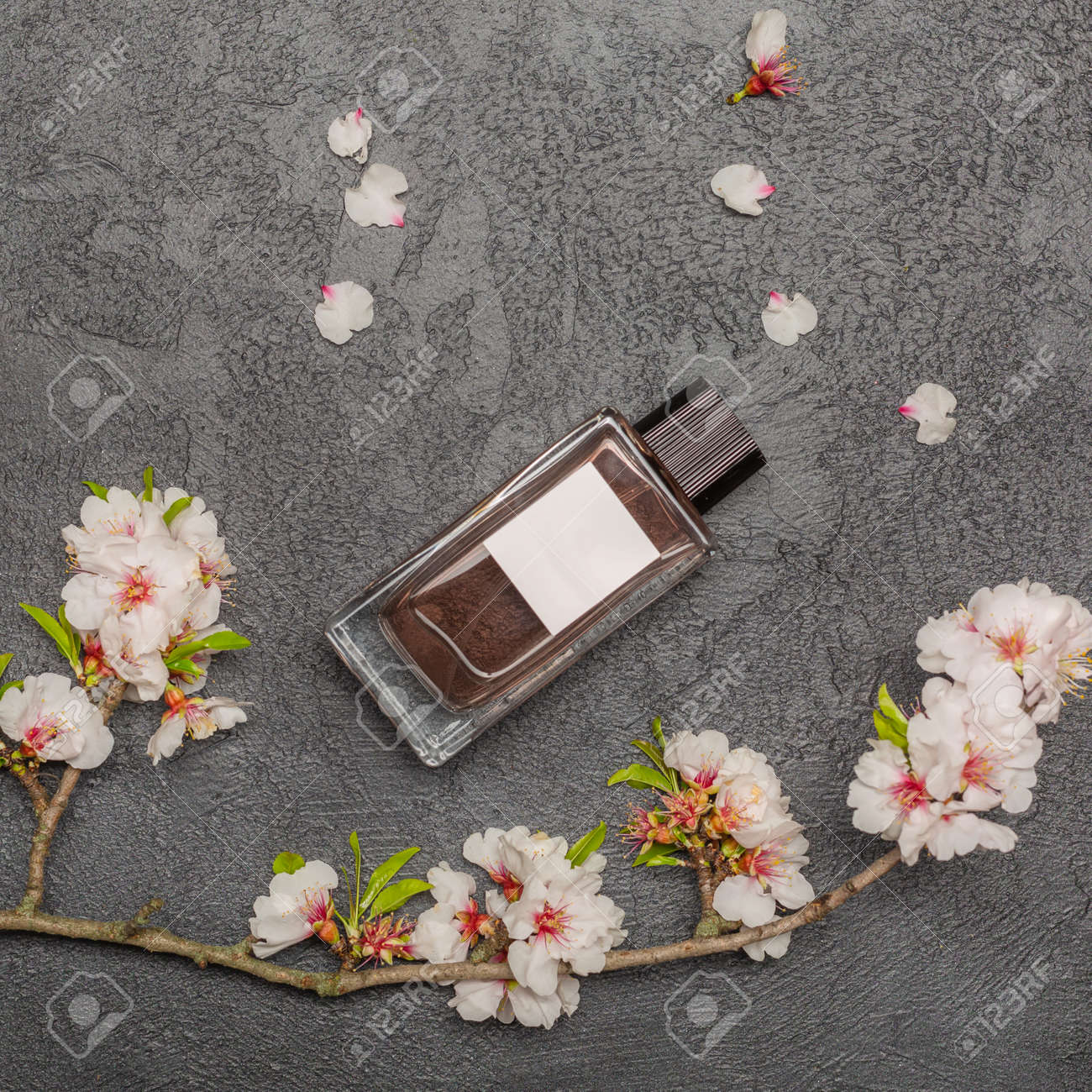 Flat lay banner with branch of cherry blossom flowers - 167193718 Flat lay banner with branch of cherry blossom flowers - 167193718