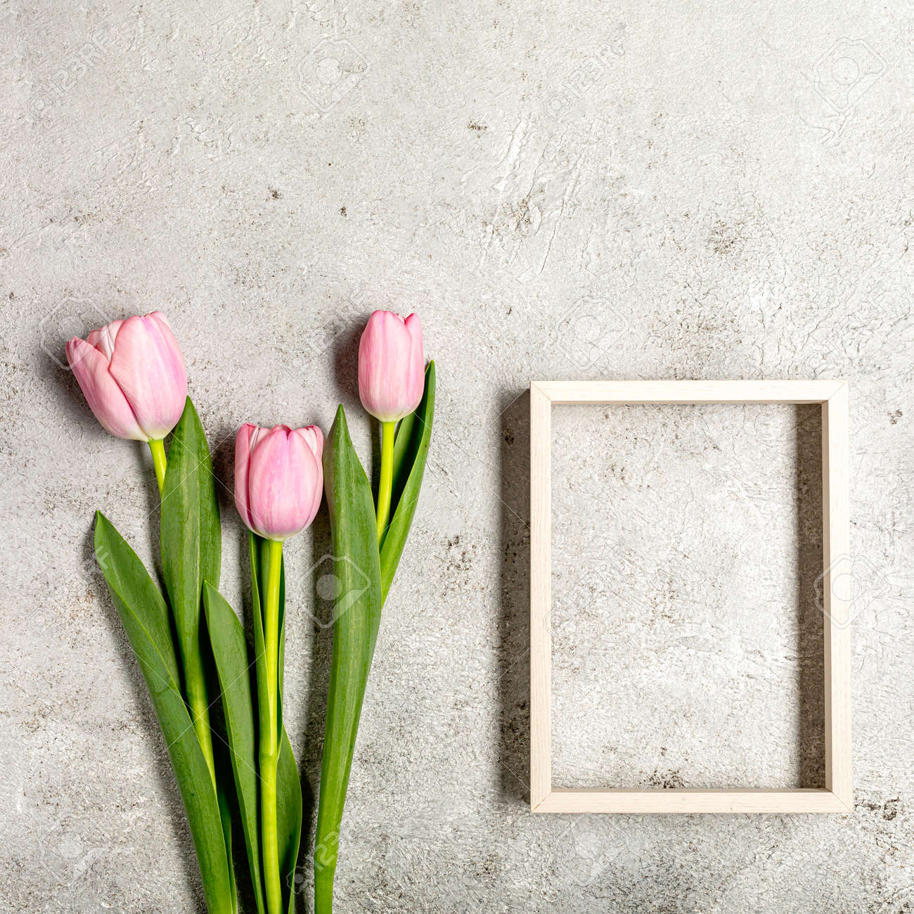 Fresh pink tulip flowers on ultimate gray wall - 167193349 Fresh pink tulip flowers on ultimate gray wall - 167193349