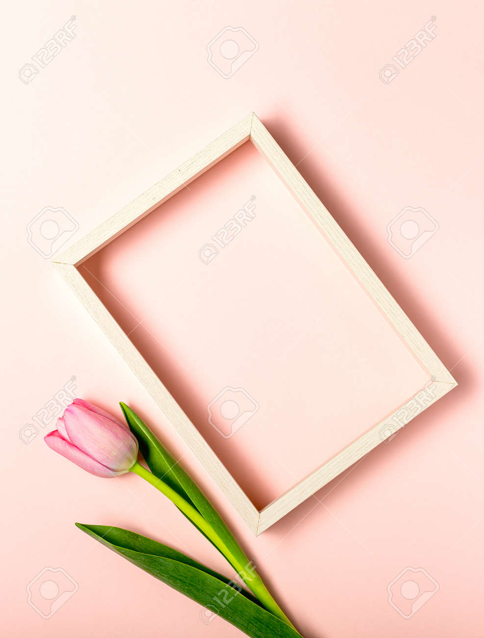 Flat lay with tulip flowers on pastel pink - 167193801 Flat lay with tulip flowers on pastel pink - 167193801