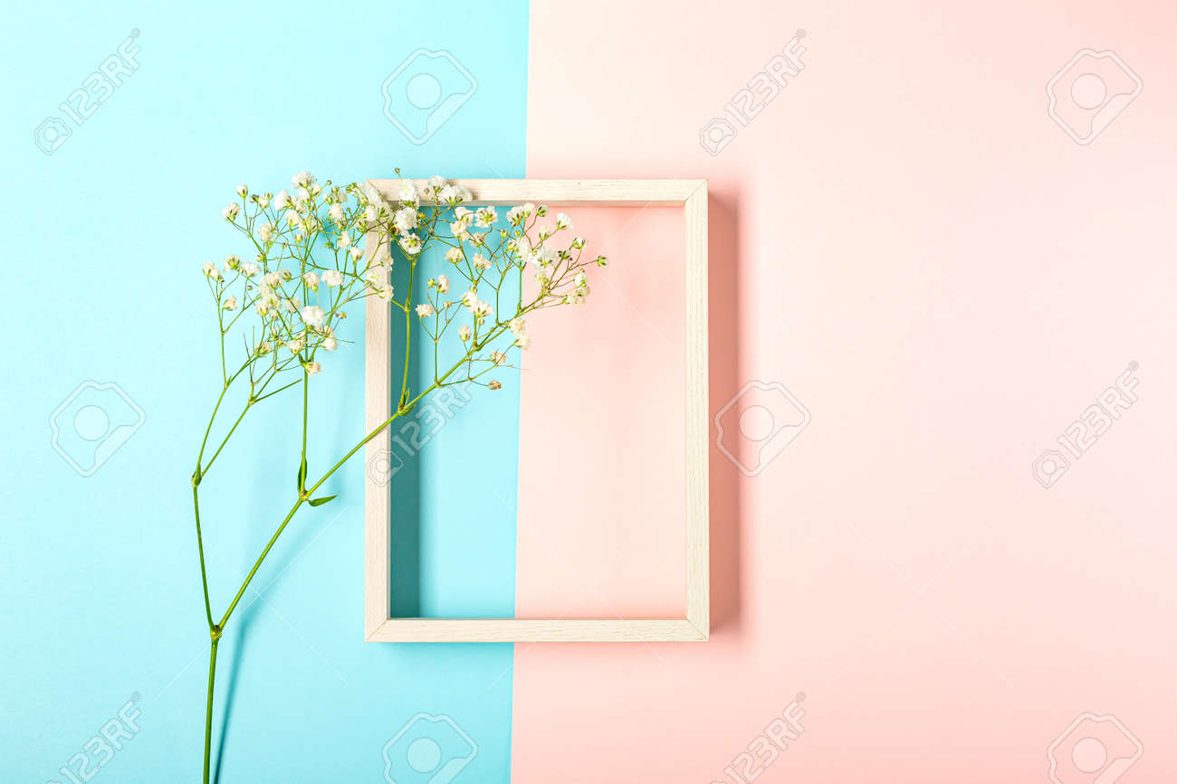 Creative banner with fresh white babys breath flower - 167193808 Creative banner with fresh white babys breath flower - 167193808