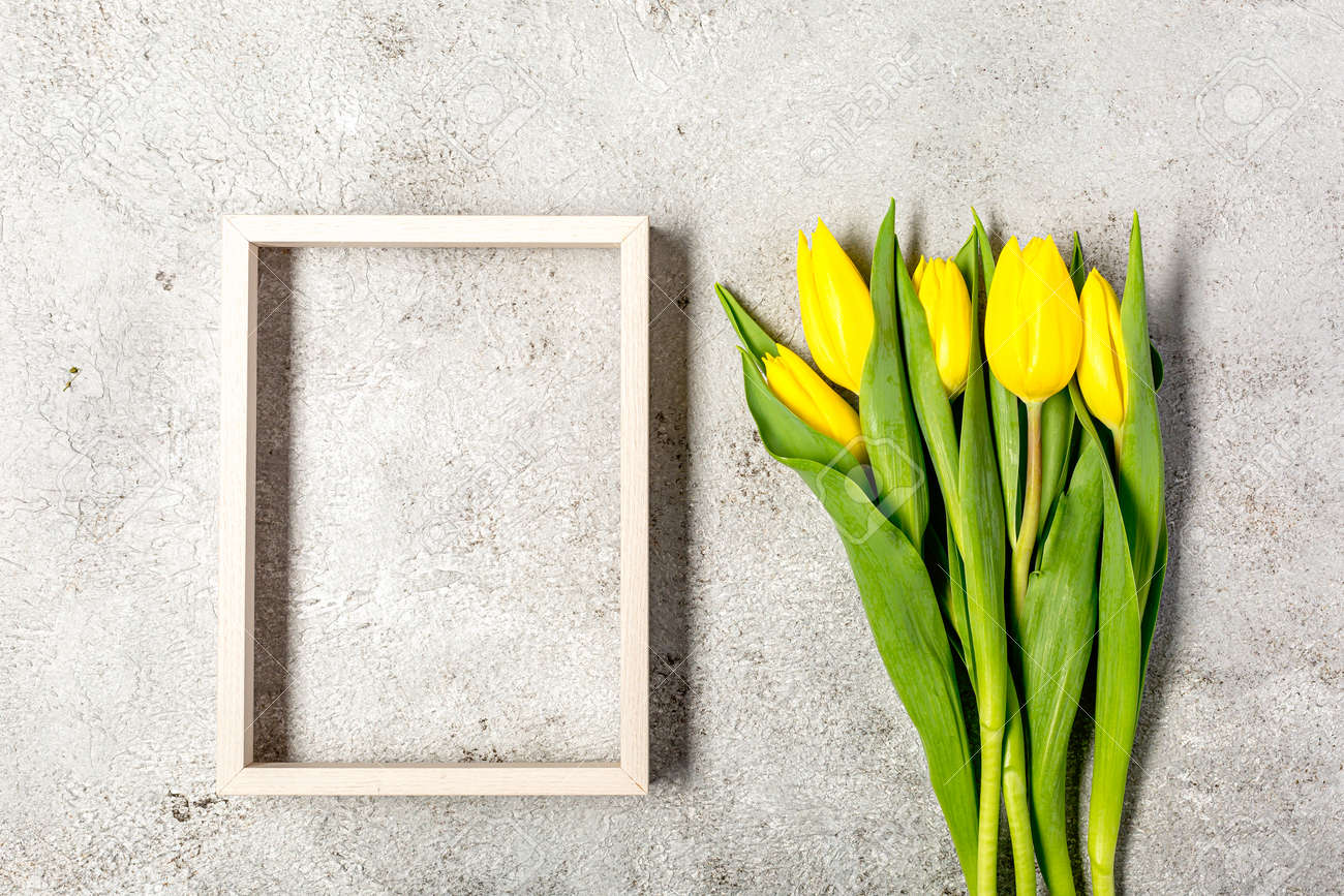 Fresh yellow tulip flowers on ultimate gray wall - 167779836 Fresh yellow tulip flowers on ultimate gray wall - 167779836