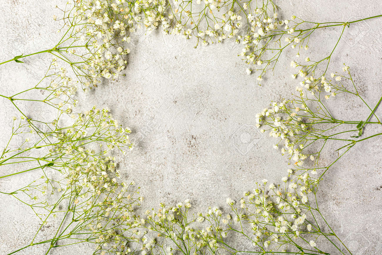 Creative banner with fresh white babys breath flower - 167779841 Creative banner with fresh white babys breath flower - 167779841