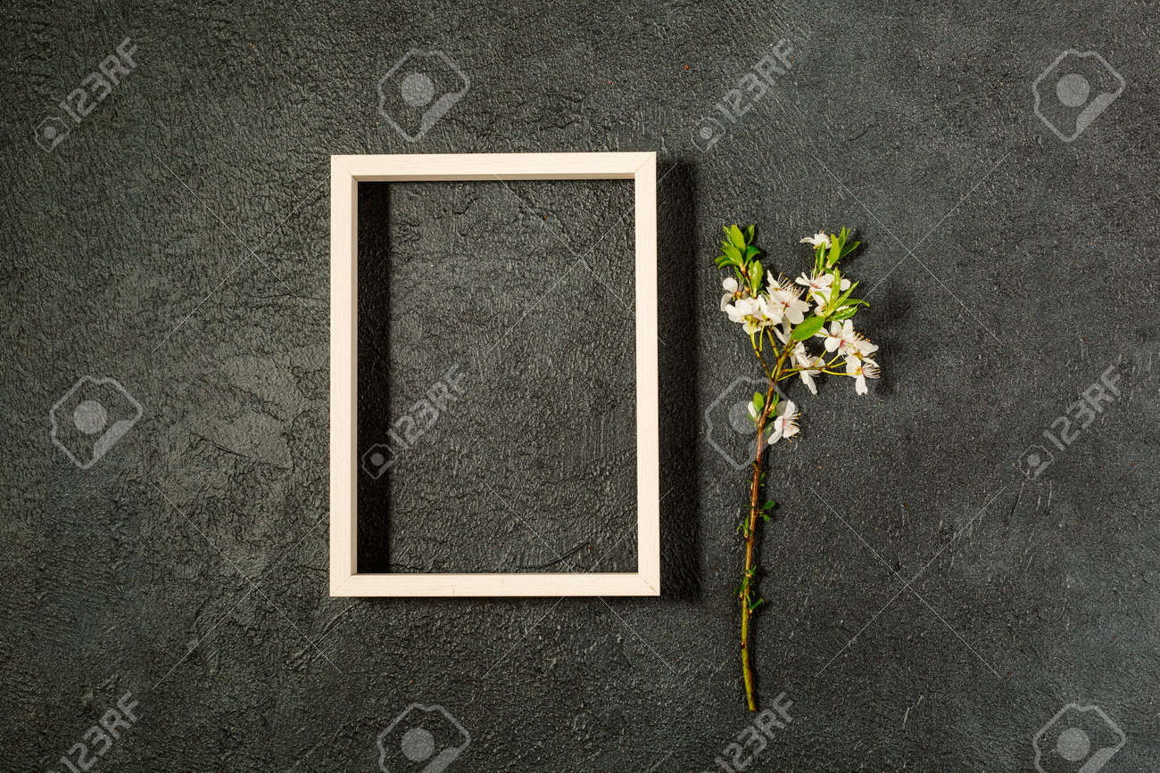 spring background with fresh flower on black background. - 167779848 spring background with fresh flower on black background. - 167779848