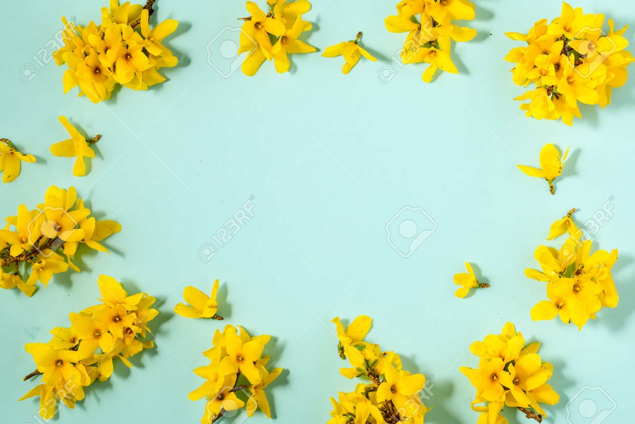 Pattern with fresh yellow flowers on pastel backround. - 167779849 Pattern with fresh yellow flowers on pastel backround. - 167779849