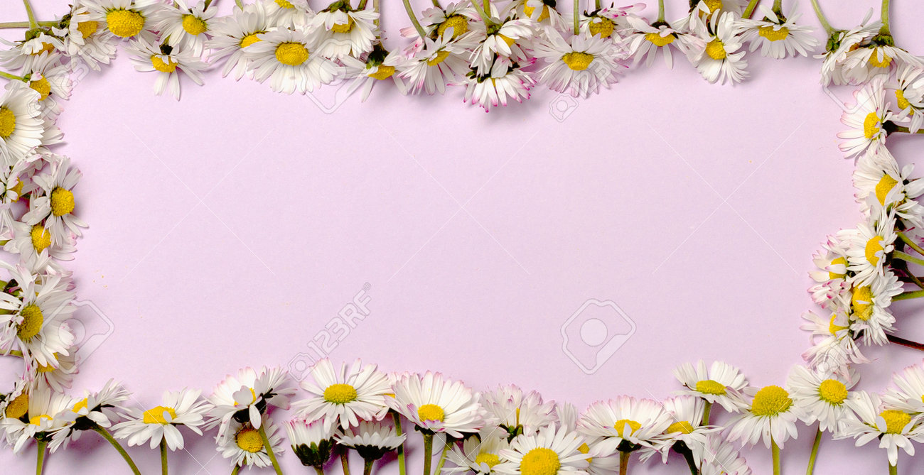 Pattern with fresh daisy flowers on pastel backround. - 167779880 Pattern with fresh daisy flowers on pastel backround. - 167779880