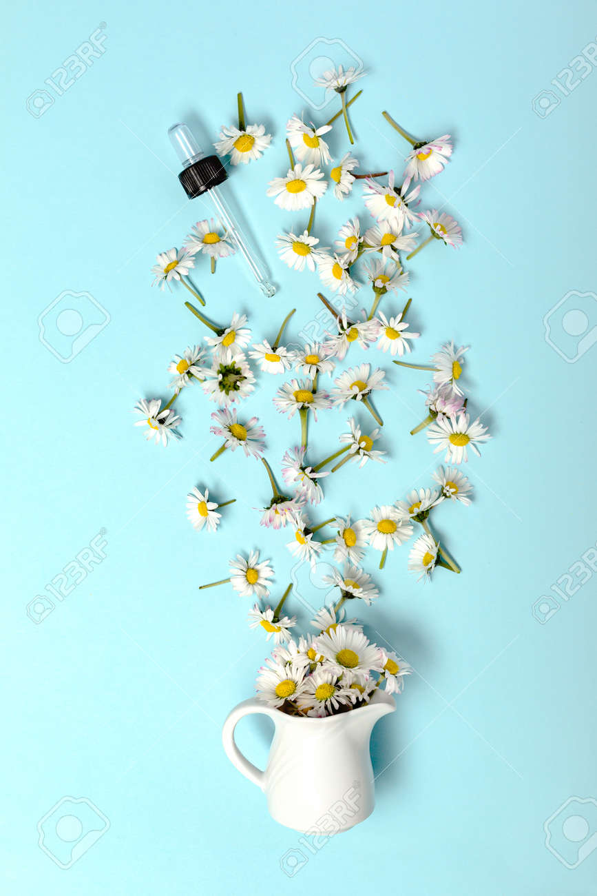 Pattern with daisy flowers and bottle on pink backround. - 167779881 Pattern with daisy flowers and bottle on pink backround. - 167779881