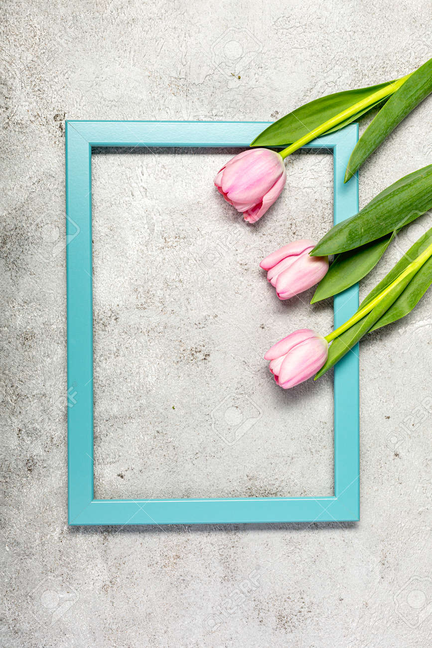 Fresh pink tulip flowers on ultimate gray wall - 167780042 Fresh pink tulip flowers on ultimate gray wall - 167780042