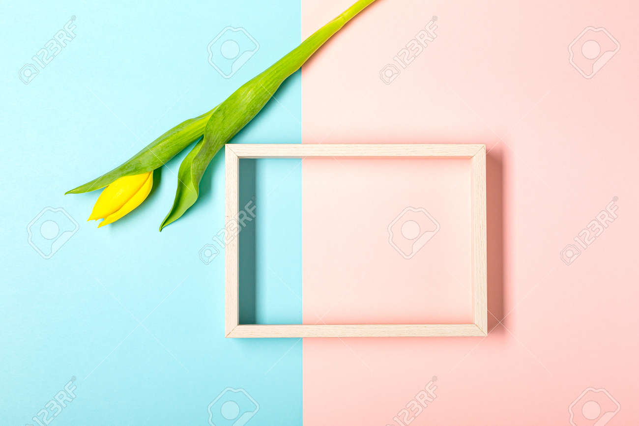 Flat lay with tulip flowers on pastel pink - 167780043 Flat lay with tulip flowers on pastel pink - 167780043