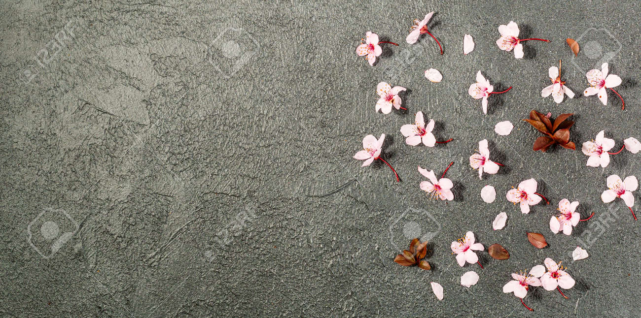 spring background with fresh flower on black background. - 167780049 spring background with fresh flower on black background. - 167780049